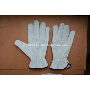 Driver Glove-Sheep Skin Driver Glove-Weight Lifting Glove-Winter Glove-Warm Glove